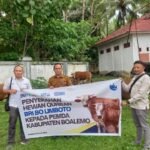 Screenshot_2025_0603_063101