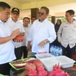 FB_IMG_1759743241345