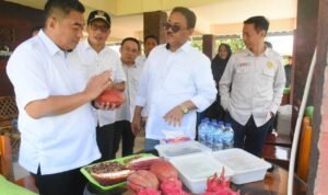 FB_IMG_1759743241345