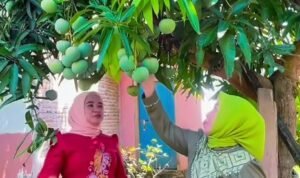 Screenshot_2025_1021_135830