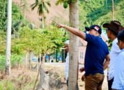 Dorong Ekonomi Pertanian, Pemkab Boalemo Pastikan Program Bibit Durian Tepat Sasaran