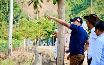 Dorong Ekonomi Pertanian, Pemkab Boalemo Pastikan Program Bibit Durian Tepat Sasaran