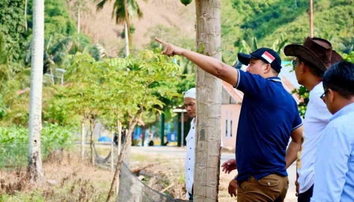 Dorong Ekonomi Pertanian, Pemkab Boalemo Pastikan Program Bibit Durian Tepat Sasaran