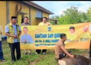 Sinergi Golkar dari Pusat hingga Daerah Menguat, Lahmuddin Hambali Apresiasi Bantuan Sapi Kurban dari Ketum Bahlil Lahadalia