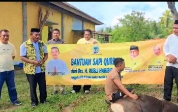 Sinergi Golkar dari Pusat hingga Daerah Menguat, Lahmuddin Hambali Apresiasi Bantuan Sapi Kurban dari Ketum Bahlil Lahadalia