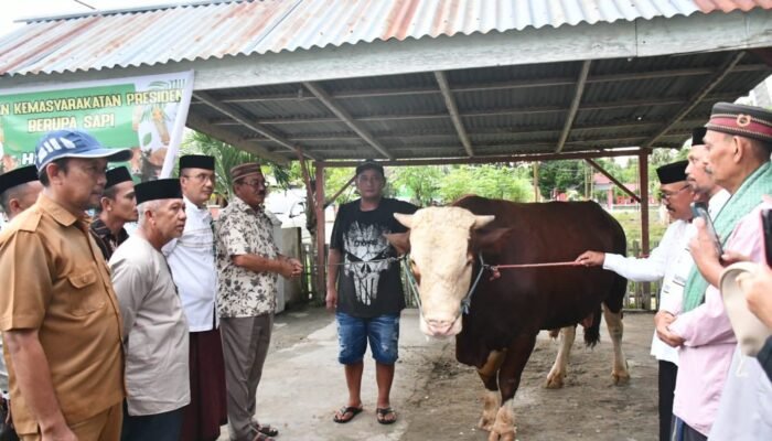 Pemkab Boalemo Sampaikan Terima Kasih kepada Presiden Prabowo atas Bantuan Sapi Kurban Iduladha 1447 H