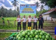 Tak Surut oleh Krisis Air, Lapas Boalemo Buktikan Pertanian Warga Binaan Mampu Hasilkan Panen Semangka Berkualitas