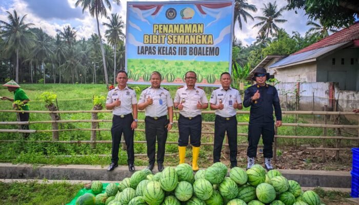 Tak Surut oleh Krisis Air, Lapas Boalemo Buktikan Pertanian Warga Binaan Mampu Hasilkan Panen Semangka Berkualitas